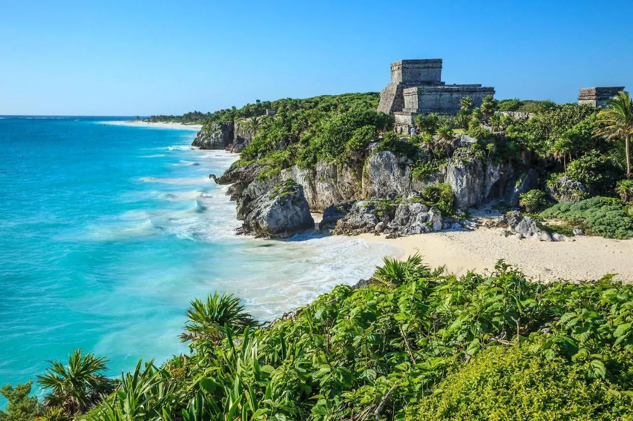 Apartment Queen Bed Suite, Infinity Pool & Fast Wifi, Nespresso & Netflix Tulum Mexico